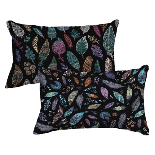 Kissenbezug 30 x 60cm 2er Set Rechteckig Kopfkissenbezug Schwarz Sofakissen Feder Dekokissen Samt Couchkissen Doppelseitig Zierkissen mit Unsichtbarer Reißverschluss Design für Herbst Deko,Model702 Kissenbezug 30 x 60cm 2er Set Rechteckig Kopfkissenbezug Schwarz Sofakissen Feder Dekokissen Samt Couchkissen Doppelseitig Zierkissen mit Unsichtbarer Reißverschluss Design für Herbst Deko,Model702 von Wjxzsccw
