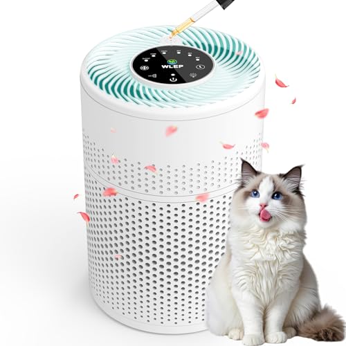 Luftreiniger mit HEPA H13 Aktivkohle Filter, Aromatherapie-Funktion & 360° Luftzirkulation, Nachtlicht & leiser Modus, Timer-Funktion Persönlicher Air Purifier für Homeoffice und Schlafzimmer von Wlep