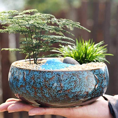 Wlnnes Bonsai Topf Micro Landschaft Kreative Persönlichkeit Topf Keramikpflanze Topf Keramik Koreanische fleischige große große große kalibergepfofige Bonsai-Topfpflanzen (Color : Blau) von Wlnnes