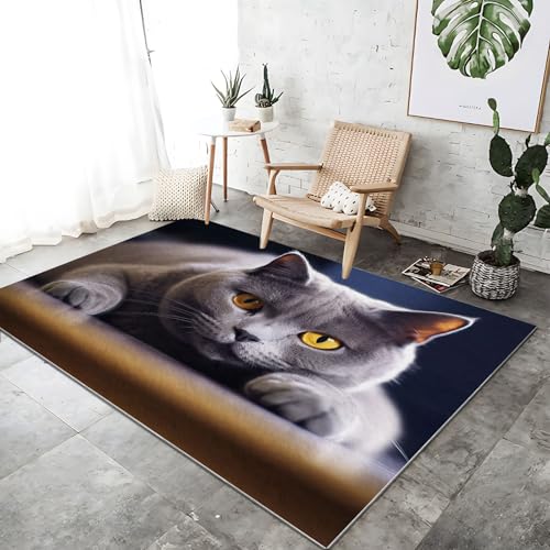 Teppich rutschfest waschbar 160 x 230 cm, grau-gelb weich rutschfest schmutzabweisend Tiere Katzen Fotodruck Teppich, für Schlafzimmer Büro Küche Flur Teppich Teppich rutschfest waschbar 160 x 230 cm, grau-gelb weich rutschfest schmutzabweisend Tiere Katzen Fotodruck Teppich, für Schlafzimmer Büro Küche Flur Teppich von Wmmner