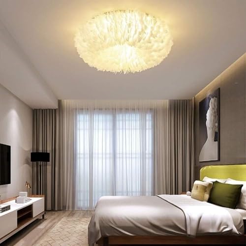 Wmmner Einfache Deckenleuchte Feder-Deckenleuchte Kompatibel Mit Wohnzimmer Esszimmer Arbeitszimmer Villa Schlafzimmer, Modernes Esszimmer/50 cm von Wmmner