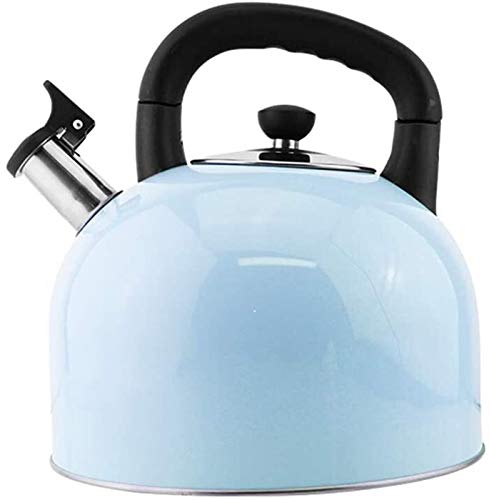 Wmmner Teekessel Herd Herdplatte Pfeifkessel Edelstahldüse Wasserkocher Moderne Helle Farbe Mit Ergonomischem Griff Kann Kaffee Kochen (Grün) (Eine Farbe Grün)/Eine Farbe/Blau von Wmmner