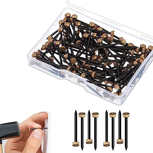 50 Stück Nägel zum Aufhängen von Bildern, Bildernägel, Brass Head Nails, Bildernägel Messing, Bilder Nagel, Messingkopf Bilder Nagel, mit Kunststoff Aufbewahrungsbox für Wandmontag von WnlahuWA