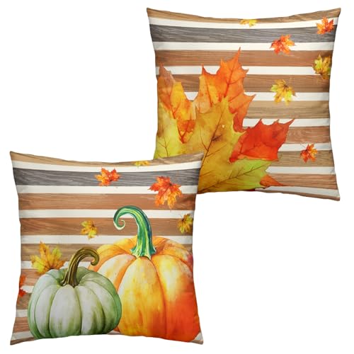 Wnoesat Fall Pillow Covers Pumpkin Throw Pillow Covers Autumn Stripes Pillow Covers 16 x 16 Inch Set of 2 Maple Leaf Pillowcase for Home Couch Sofa Bed Wnoesat Fall Pillow Covers Pumpkin Throw Pillow Covers Autumn Stripes Pillow Covers 16 x 16 Inch Set of 2 Maple Leaf Pillowcase for Home Couch Sofa Bed von Wnoesat