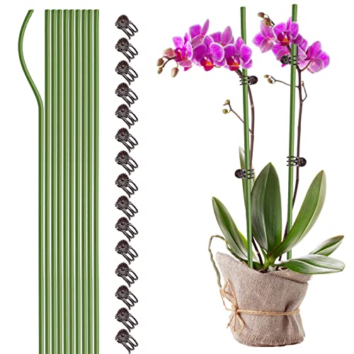 Wnvivi 20 Pflanzenstützstäbe mit 30 Clips, Einzelstiel-Orchideenstäbe, Biegsame Pflanzenstäbe, Unterstützung für Pflanzen Im Innen- und Außenbereich(Grün, 40 cm) von Wnvivi