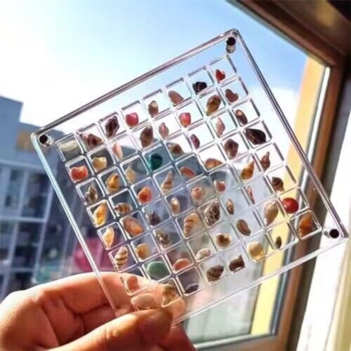 Wnvivi Muschel-Display-Box, Magnetische Muschel-Vitrine aus Acryl, Kleine Muschel-Aufbewahrungsbox, Transparente Acryl-Box Zum Präsentieren von Muscheln(Quadratisch, 64 Gitter) von Wnvivi