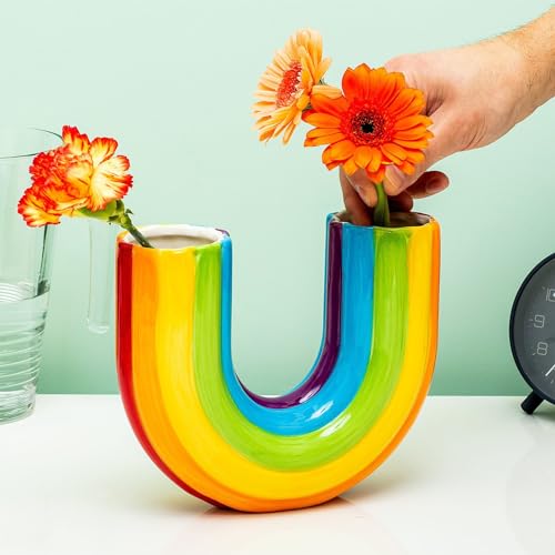 Wnvivi Regenbogen-Blumenvase, Kreative U-förmige Regenbogenvase aus Kunstharz für Blumen, Dekorative Bunte Blumenvasen für Wohnzimmer, Büro, Dekoration von Wnvivi