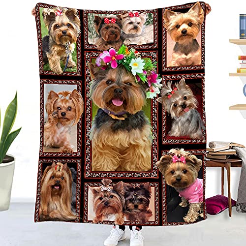 Wnyun Fleecedecke Sofadecke Kuscheldecke 3D Wohndecken 150x200cm Yorkshire-Terrier-Mädchentier Flanelldecke Couchdecke Warm Weiche Flauschige TV Decke Bettüberwurf Microfaser Tagesdecke von Wnyun