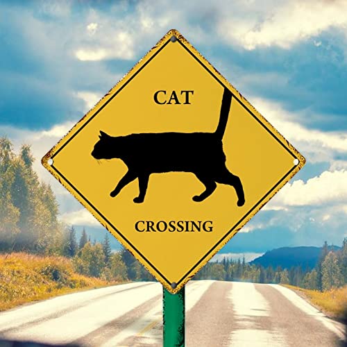 Caution Cat Aluminum Metal Sign Funny Cat Xing Retro Vintage Tin Metal Sign Caution Warning Sign Cat Crossing Men Cave Signs for Outdoor Yard Garage Garden Street 25,4 x 25,4 cm Birthday Gift von WoGuangis