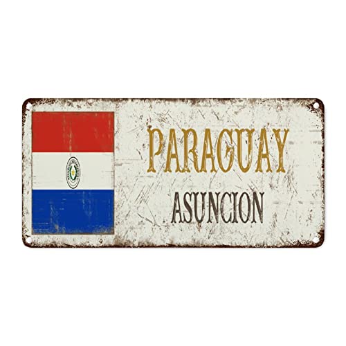 Paraguay Asuncion Stadt Metallschild Paraguay Landflagge Retro Vintage Blechschild Reisegeschenk Souvenir Metallschild für Waschküche Büro 30,5 x 15,2 cm patriotisches Männer Frauen Geschenk von WoGuangis