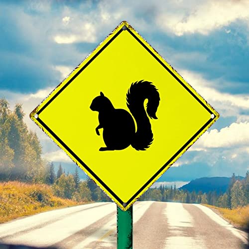 Squirrel Crossing Aluminium Metallschild Vorsicht Eichhörnchen Metall Kunst Schild Eichhörnchen Kreuzung Retro Straße Hängeschild Gelb Diamantform Schild 25,4 x 25,4 cm Tierliebhaber Geschenk Schild von WoGuangis