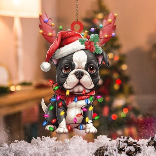 WoGuangis Boston Terrier Weihnachtsbaum Hängende Ornament Geschenk für Hundeliebhaber Weihnachten Party Supplies Boston Terrier Hund Laternen Weihnachten Geweih Acryl Weihnachten Ornament 10,2 cm von WoGuangis