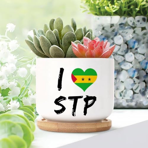 WoGuangis I Love Sao Tome und Principe Keramik-Pflanzgefäße Set mit 3 Sao Tome und Principe-Herzflaggen-Kaktus-Pflanzgefäßen für den Innenbereich, mit Drainage, Liebesherz, kleiner Keramik-Pflanztopf von WoGuangis