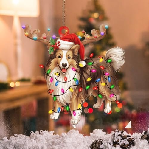 WoGuangis Shetland Sheepdog Acrylic Xmas Tree Ornament Holiday Keepsake Pet Lover's Gift Christmas Ornament for Kids Shetland SheepDog Lanterns Christmas Antlers Christmas Decorations Gift von WoGuangis