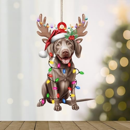 WoGuangis Weihnachtsschmuck Weimaraner Acryl Weihnachtsschmuck Weimaraner Hund Laternen Weihnachten Geweih Weihnachtsschmuck Geschenk für Hund Mutter Ornamente Einweihungsgeschenk von WoGuangis