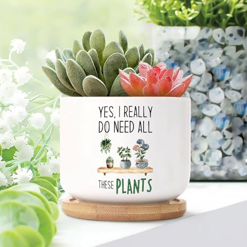 WoGuangis Yes I Really Do Need All These Plants Small Ceramic Planters for Indoor 1 Piece Plant Quotes Ceramic Pots for Plants with Drainage Bamboo Trays Gardening Plant Houseplant Pot, snconkt3p56p von WoGuangis