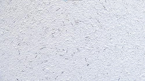 WOBAMOUR Baumwollputz Economy 1 - Feine weiße Flüssigtapete mit Silberfäden - 1kg ausreichend für ca. 4 m² von WOBAMOUR