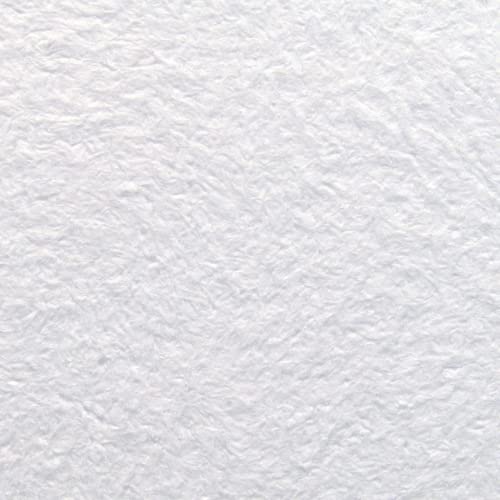 Wobamour Baumwollputz Seidenglanz 3 - Weiße Flüssigtapete mit feinem Perlmuttglimmer 1kg ausreichend für ca. 4m² von Wobamour