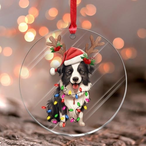 Border Collie mit Geweih Weihnachtsbaum Ornament Hunderasse Hund Kind Tier Rund Weihnachtsbaum Ornament Andenken Hundeliebhaber Tier Acryl Weihnachtskugel für Christbaumschmuck von Wodevor