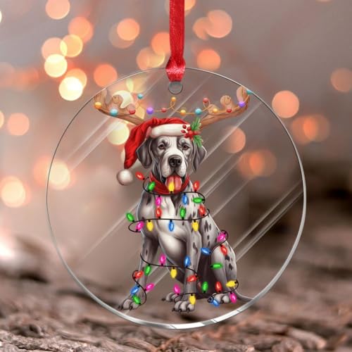 Weihnachtsschmuck 2024 Deutsche Dogge mit Geweih Acryl hängende Ornamente Hund trägt Nikolausmütze Weihnachtskugel Welpe mit LED-Lichtern Andenken Sammlerstück Geschenk Baumschmuck Strumpf Weihnachtsschmuck 2024 Deutsche Dogge mit Geweih Acryl hängende Ornamente Hund trägt Nikolausmütze Weihnachtskugel Welpe mit LED-Lichtern Andenken Sammlerstück Geschenk Baumschmuck Strumpf von Wodevor