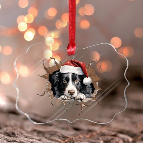 Weihnachtsschmuck 2024 Peeking Border Collie Acryl Xmas Ornament Abstrakte Haustier Welpen Malerei Weihnachtskugel Haustier Portrait Bulldogge Boxer Andenken Sammlerstück Geschenk Baumschmuck Strumpf von Wodevor