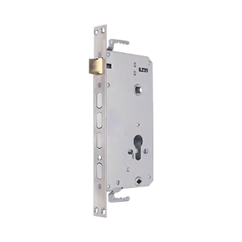 Elektro-Plektren-Riegel, elektromagnetisch, universal, Smart-Verriegelung für Zuhause, Büro, Sicherheit, doppelseitige Riegel von Woedpez