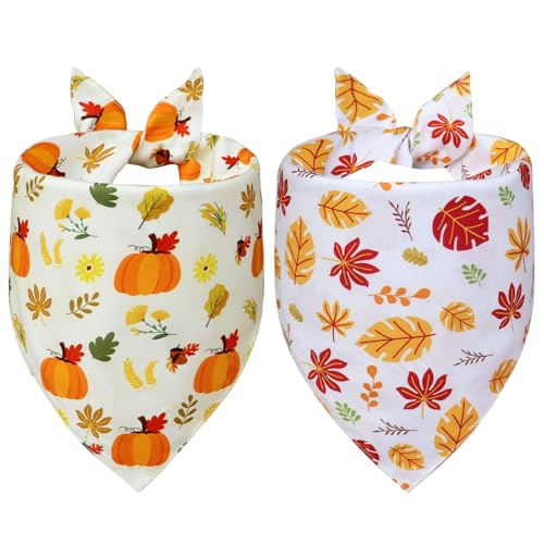 WoffBow Thanksgiving-Hundehalstücher für XL-Hunde, wendbare Kürbis- und Ahornmuster mit schnell trocknendem Komfort, bereit für das Abendessen, Größe XL, 2er-Pack WoffBow Thanksgiving-Hundehalstücher für XL-Hunde, wendbare Kürbis- und Ahornmuster mit schnell trocknendem Komfort, bereit für das Abendessen, Größe XL, 2er-Pack von WoffBow