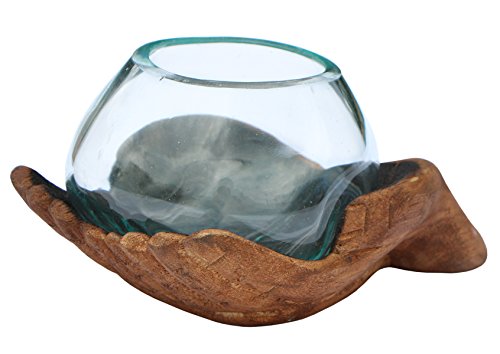 Geschenk Handmade Deko Glas Ø 10 cm in geschnitzter Holz Schale Vase Hand XS von Wogeka