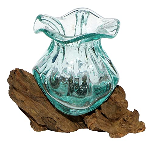 Geschenk-Idee Dekoration Wohnung Gamal Wurzel-Holz Glas-Vase Teakholz Handarbeit Vase Ø Glas 12-13 cm Pott S von Wogeka
