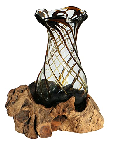 Wogeka - Glas Vase Venezia auf Wurzel-Holz - im modernen Style als Geschenk-Idee zu Weihnachten Geburtstag zur Dekoration (Braun) von Wogeka