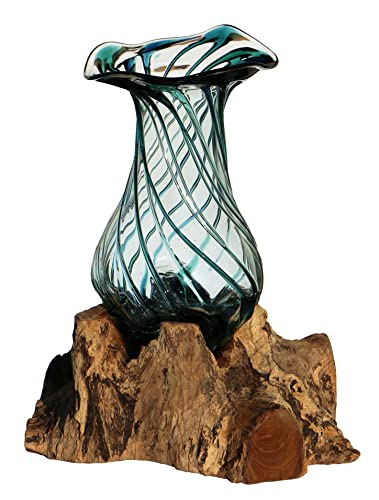 Wogeka - Glas Vase Venezia auf Wurzel-Holz - im modernen Style als Geschenk-Idee zu Weihnachten Geburtstag zur Dekoration (Grün) von Wogeka