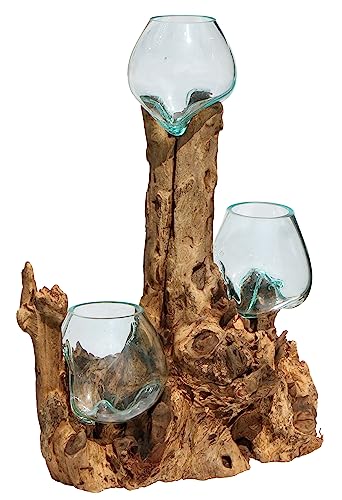 Wogeka - 3er Glas-Vase auf Wurzel-Holz Gamal - im modernen Style aus Holz als Geschenk-Idee zu Weihnachten Geburtstag Dekoration (TRIO10 (Ø Glas 10 cm)) von Wogeka