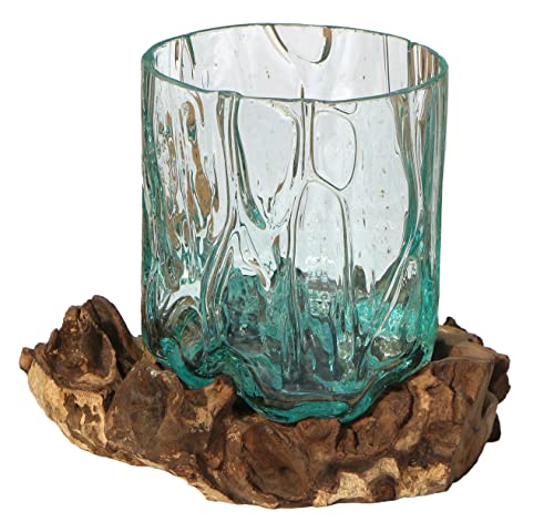 Wogeka - Designer Glas-Vase Gloria auf Wurzel-Holz als Maritime Mediterrane Deko Geschenk-Idee zu Weihnachten Geburtstag (Gloria L (Ø Glas 15-16 cm)) von Wogeka