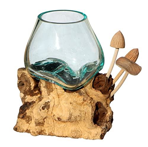Wogeka - Designer Glasvase mit Pilzen auf Wurzelholz - Blumenvase oder Deko-Glas als Geschenk-Idee zu Geburtstag Weihnachten von Wogeka