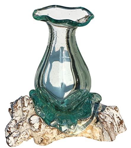 Wogeka - Glas Vase Athena in Wurzel-Holz Gamal - im modernen Style aus Holz als Geschenk-Idee zu Weihnachten Geburtstag Dekoration (Athena 20w) von Wogeka