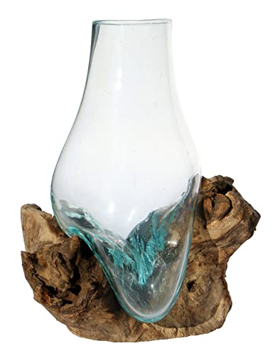 Wogeka - Glas-Vase auf Wurzel-Holz Gamal - im modernen Style aus Holz als Geschenk-Idee zu Weihnachten Geburtstag Dekoration (Glas Hoch M (Ø Glas 15-16 cm)) von Wogeka