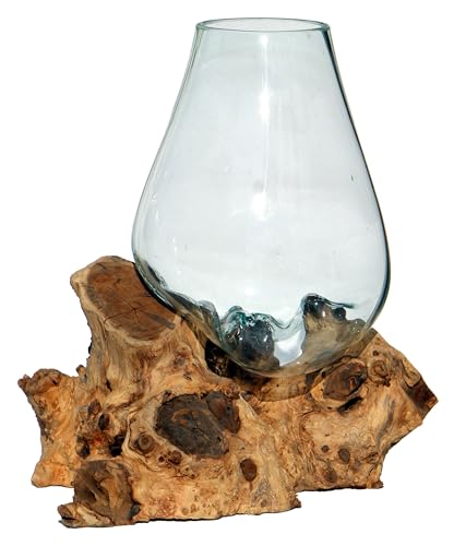 Wogeka - XL Glas-Vase Ø 22-25 cm auf Wurzel-Holz - im modernen Style aus Holz als Geschenk-Idee zu Weihnachten Geburtstag Dekoration GlasXL von Wogeka