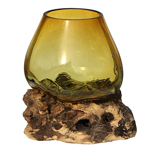 Wogeka - braune Designer Glas-Vase auf Wurzel-Holz als Maritime Mediterrane Deko Geschenk-Idee zu Weihnachten Geburtstag (Glas L.br (Ø Glas 17-20 cm)) von Wogeka