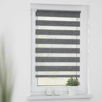 Doppelrollo Duo Go Green dunkelgrau B/L: ca. 80x220 cm Doppelrollo Duo Go Green dunkelgrau B/L: ca. 80x220 cm von LICHTBLICK