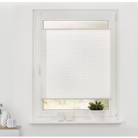 LICHTBLICK Spannplissee weiß B/L: ca. 90x130 cm LICHTBLICK Spannplissee weiß B/L: ca. 90x130 cm von LICHTBLICK