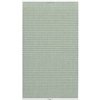 WOHNIDEE-Kollektion Plissee "mit 2 Bedienschienen" Lichtschutz mit Bohren verspannt in der Breite kürzbar WOHNIDEE-Kollektion Plissee "mit 2 Bedienschienen" Lichtschutz mit Bohren verspannt in der Breite kürzbar von Wohnidee-Kollektion