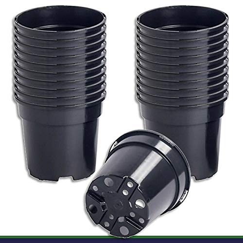Wohnkult 50 x Anzuchttopf Pflanztopf 1 L schwarz Ø 13 cm x 11 cm Blumentopf Blumenkübel Pflanztöpfe Wohnkult 50 x Anzuchttopf Pflanztopf 1 L schwarz Ø 13 cm x 11 cm Blumentopf Blumenkübel Pflanztöpfe von Wohnkult