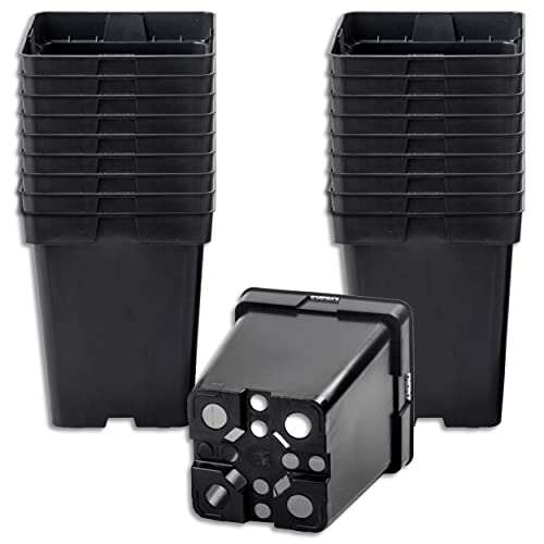 Wohnkult 50 x Anzuchttopf Pflanztopf 5 L schwarz 18 x 18 cm x 22 cm Blumentopf Blumenkübel Pflanztöpfe Wohnkult 50 x Anzuchttopf Pflanztopf 5 L schwarz 18 x 18 cm x 22 cm Blumentopf Blumenkübel Pflanztöpfe von Wohnkult