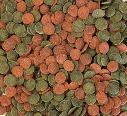 Wohnkult Hausmarke Mini Wafers Spirulina Color und Mix für alle Corydoras u. Bodenbewohner Krebse Garnelen UVM. TOP Futter Fischfutter (5000 ml Mix im Eimer) von Wohnkult