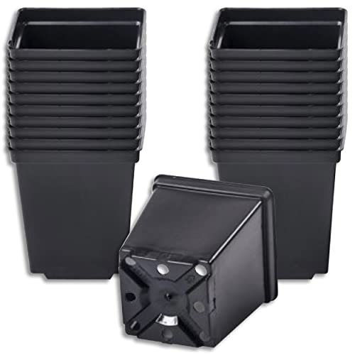 Wohnkult Pflanztopf Blumentopf Blumenkübel schwarz, klein, quadratisch, 3 zur Auswahl (1 l Volumen | 20 Stück) von Wohnkult