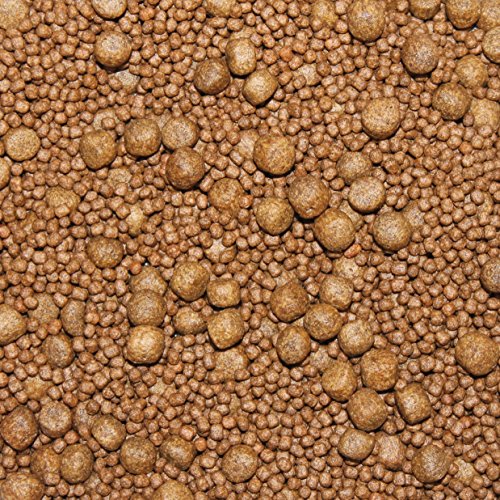 Wohnkult TOP Premium Koifutter Knoblauch in 3 mm und 6 mm 5 Liter und 10 Liter Teich Koi Goldfisch Stör (3 und 6 mm Mix / 10 Liter) von Wohnkult