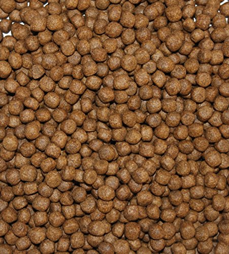 Wohnkult TOP Premium Koifutter Knoblauch in 3 mm und 6 mm 5 Liter und 10 Liter Teich Koi Goldfisch Stör (6 mm / 5 Liter) von Wohnkult