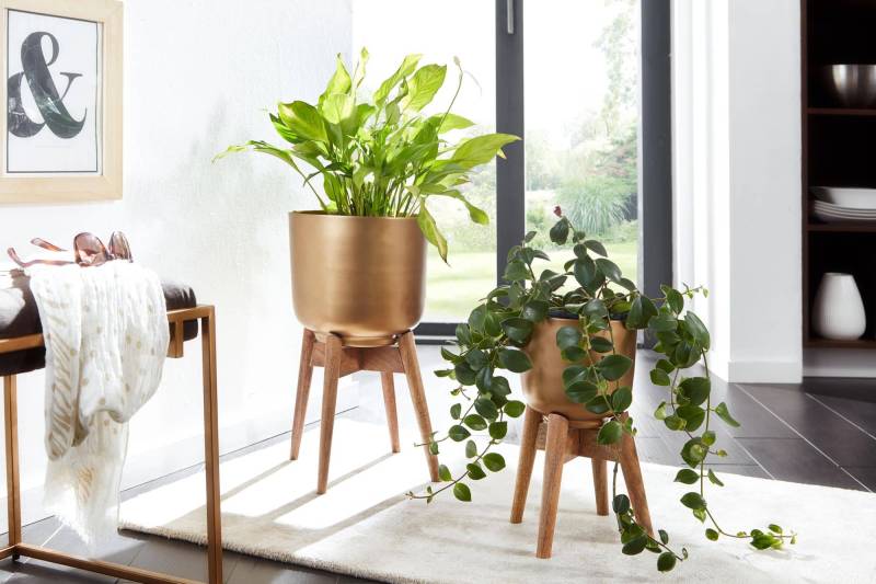 Blumentopf 2er Set Metall / Massivholz Pflanzkübel Gold mit Füßen von Wohnling