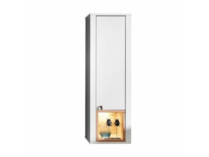 Trendstore Inola Hängeelement mit Beleuchtung - 1 Tür Trendstore Inola Hängeelement mit Beleuchtung - 1 Tür von Wohnparc