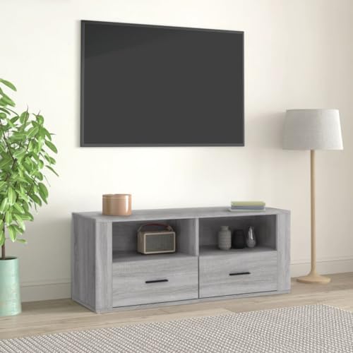 Woiinea TV-Ständer TV-Ständer TV-Tisch für Multimedia-Geräte, modernes Möbelstück für Wohnzimmer, Esszimmer, Schlafzimmer, Sonoma-Grau, 100 x 35 x 40 cm von Woiinea